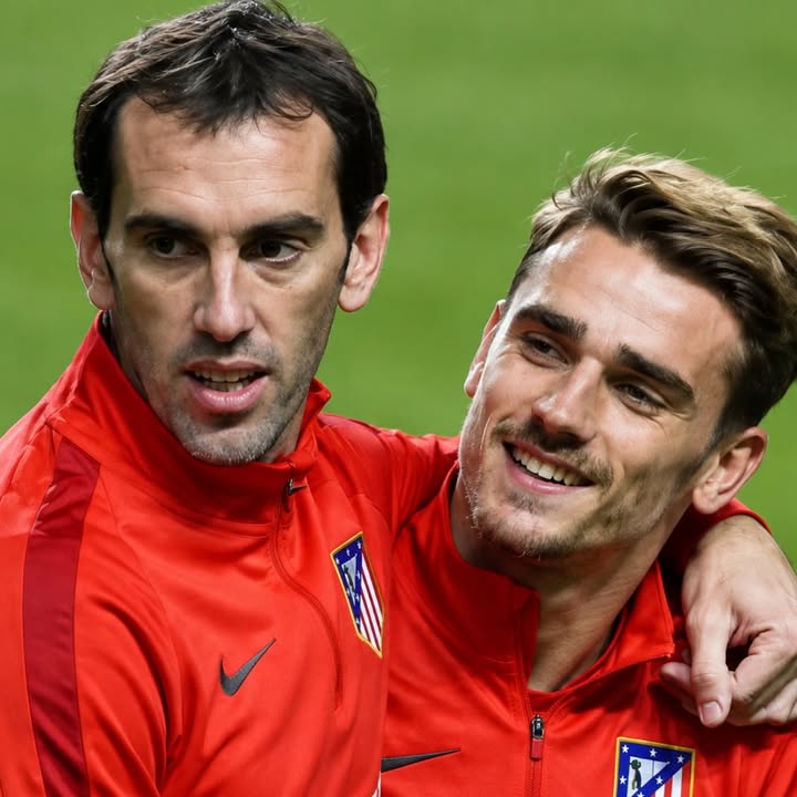 TODOATLETI.com